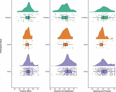 Psychological well-being and cognitive aging in Black, Native American, and White Alzheimer’s Disease Research Center participants